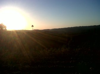 IMG00399-20120808-2006