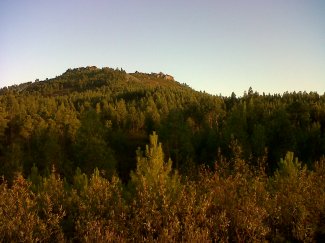 IMG00400-20120808-2007