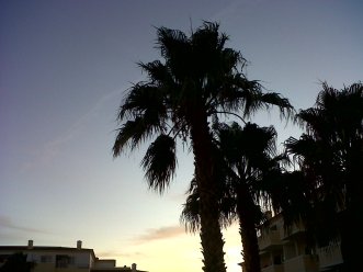 IMG00470-20120812-2035