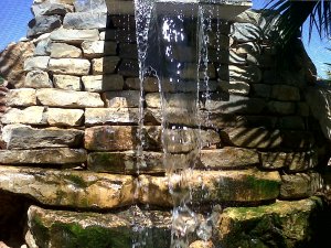 IMG00538-20120816-1159