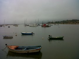 IMG00505-20120815-1201