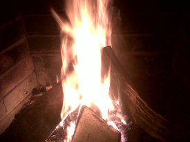 IMG01204-20130209-1858