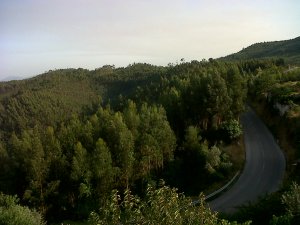 IMG00447-20120809-1851