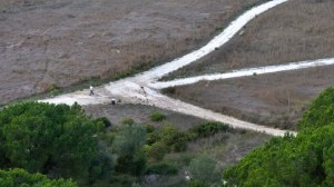 "Juízo Visionário"